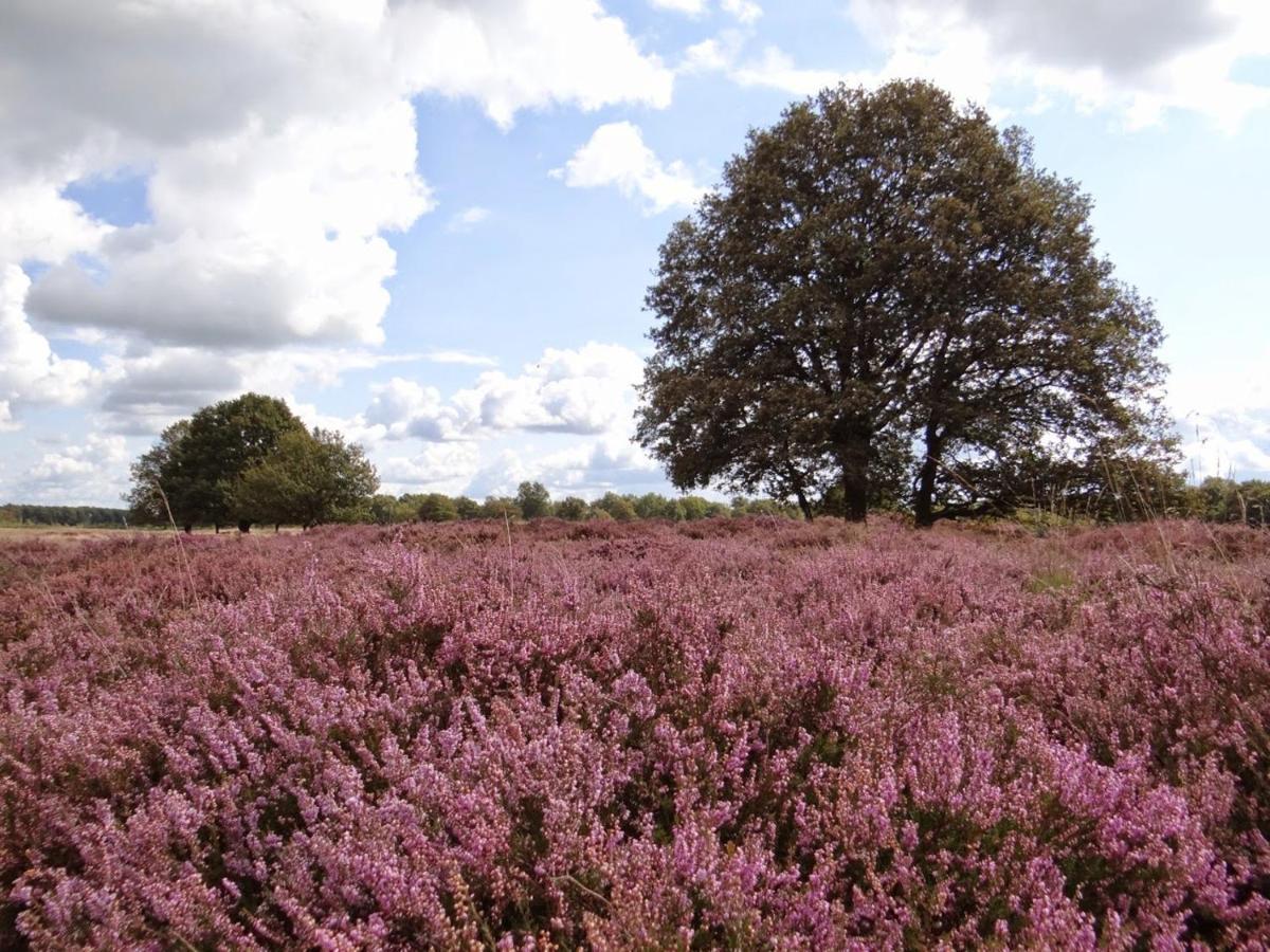 B&B De Panheide Hooghalen Luaran gambar