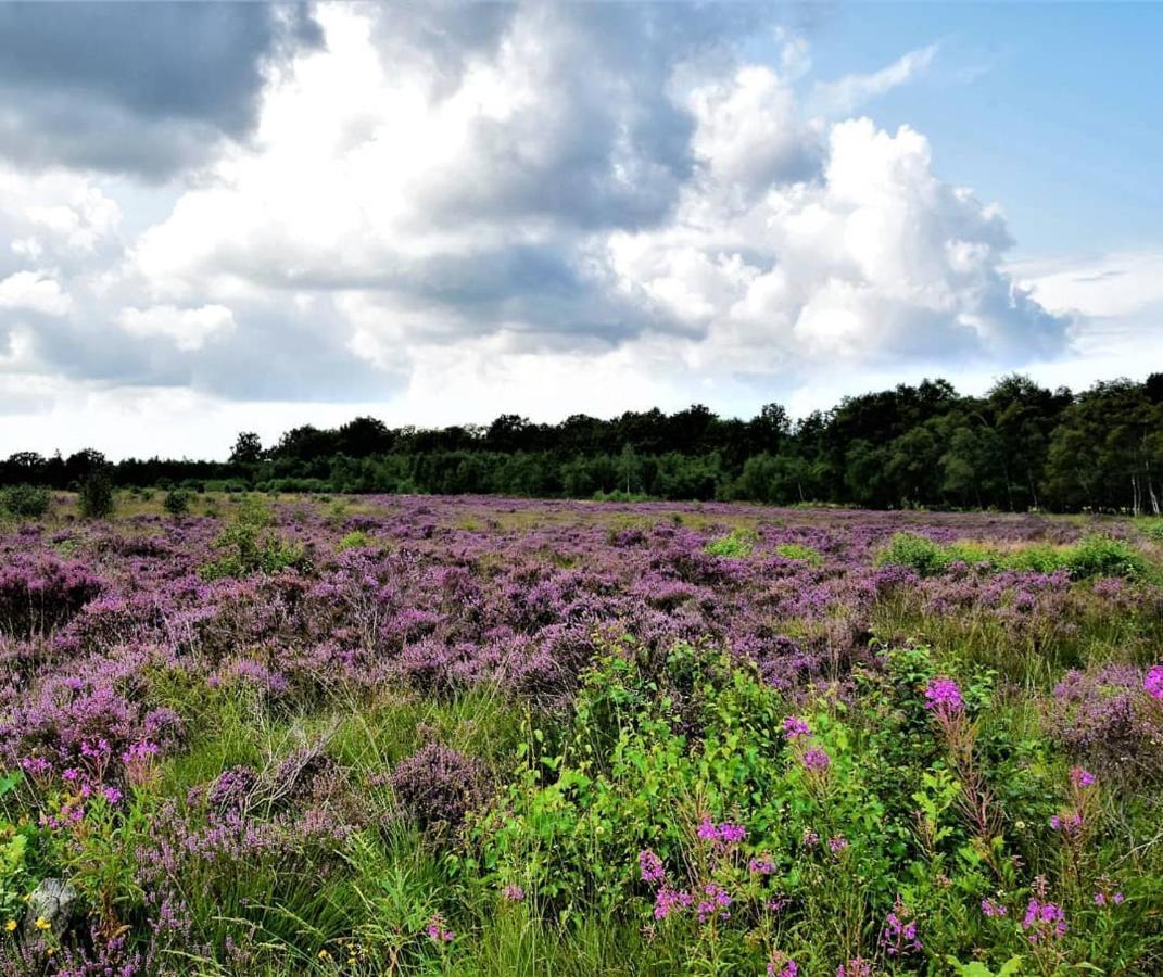 B&B De Panheide Hooghalen Luaran gambar
