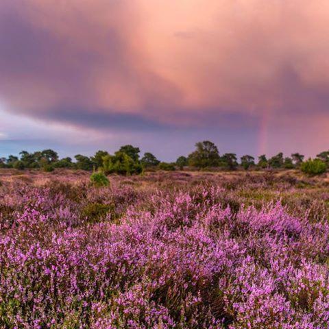 B&B De Panheide Hooghalen Luaran gambar