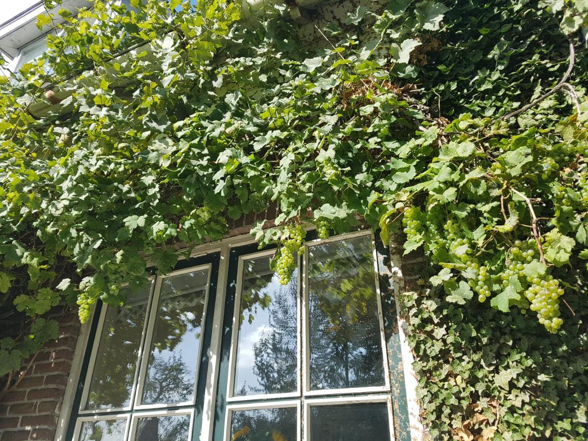 B&B De Panheide Hooghalen Luaran gambar