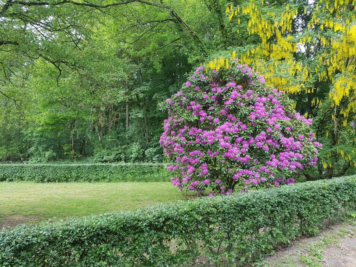 B&B De Panheide Hooghalen Luaran gambar
